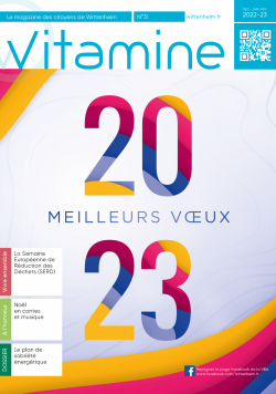 Vitamine n°31