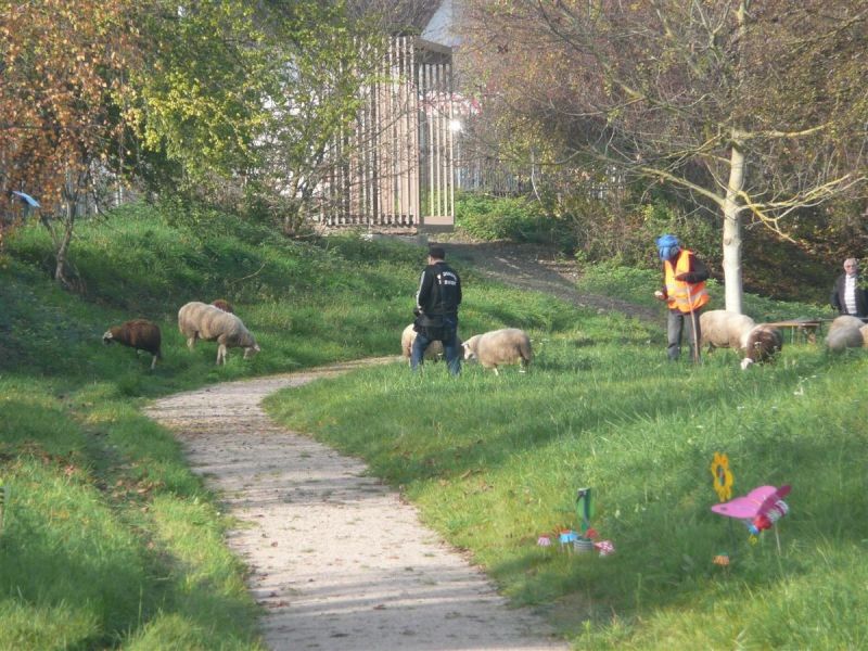 Parc du Rabbargala en photos 