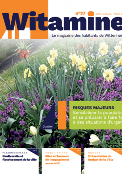 Vitamine n°37