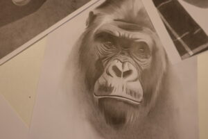 Exposition de dessins au crayon par Killian Guirault