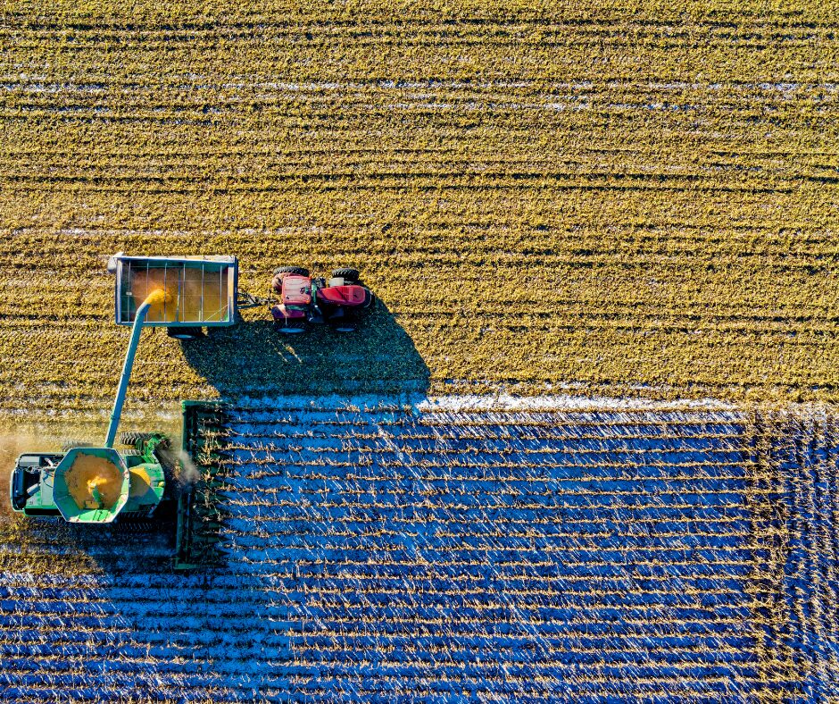 ASSURANCE ACCIDENTS AGRICOLES  :  