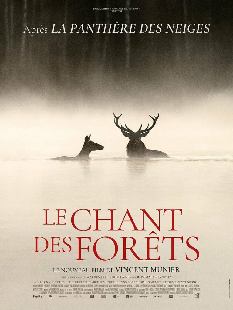 LE CHANT DES FORETS