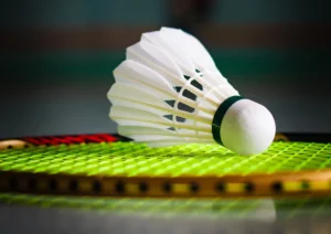 Badminton Club, portes ouvertes