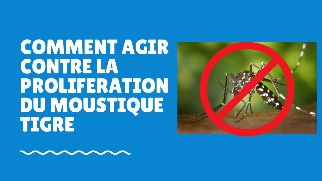 Moustique tigre : agissons ensemble !