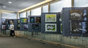 Exposition photo du club photo Pose Longue